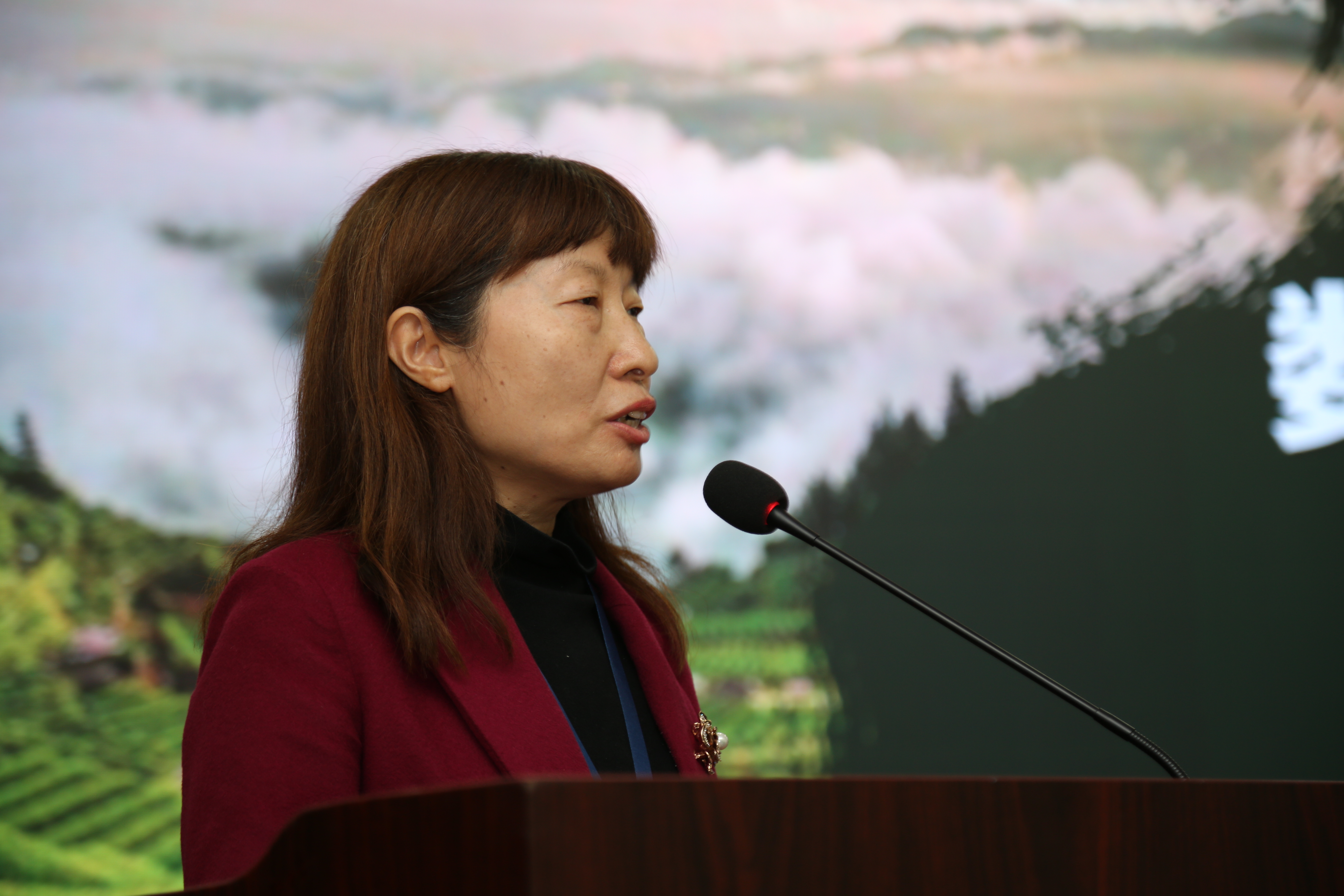 我校李艳菊教授应邀参加镇平数字乡村高峰论坛并作主题报告